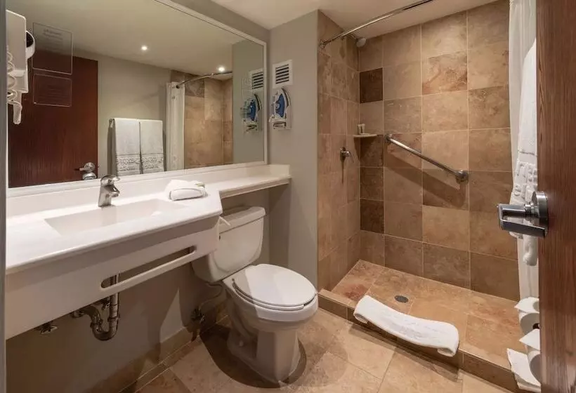 Fotos del hotel City Express Chihuahua:  8