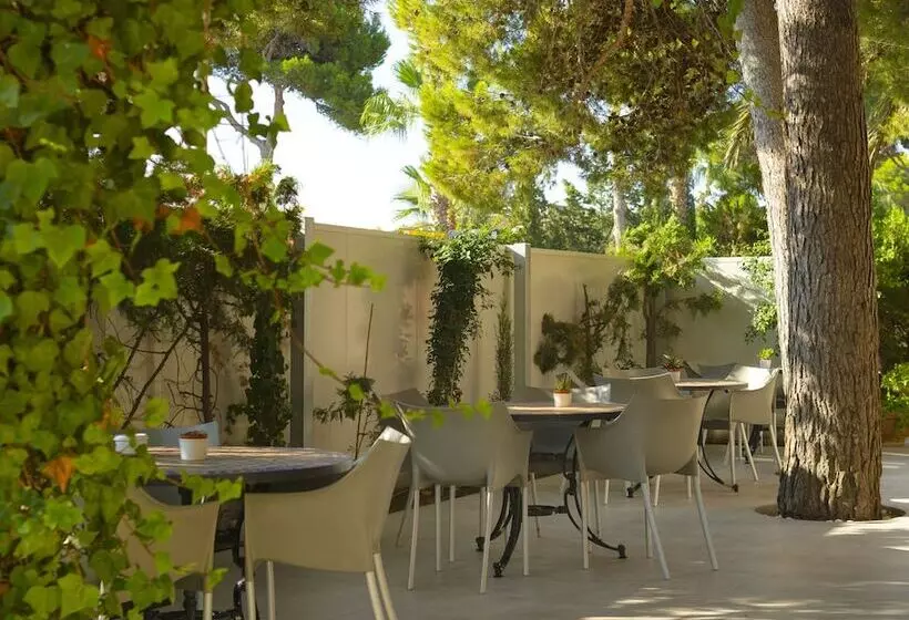 Fotos del hotel Es Baulo Petit:  9