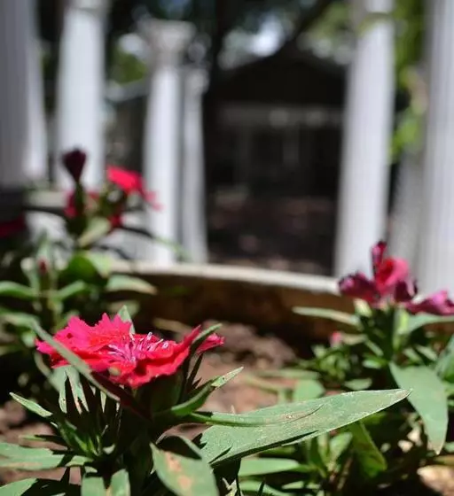 Fotos del hotel Hobbit Boutique:  5