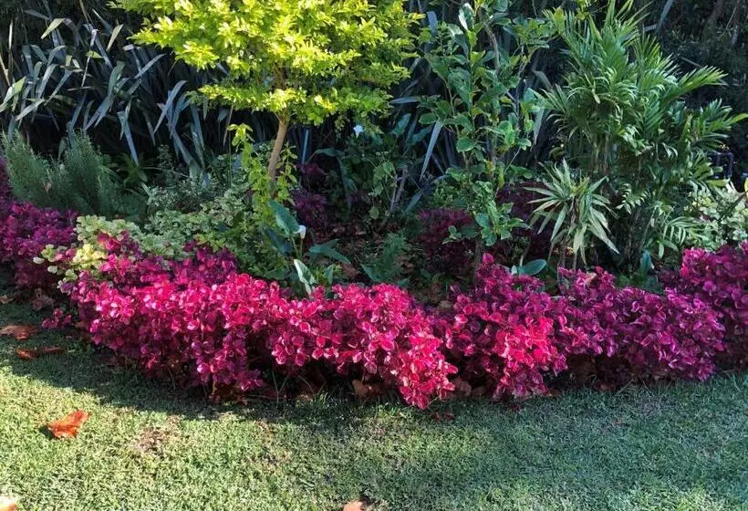 Fotos del hotel Summit Place Guesthouse:  6