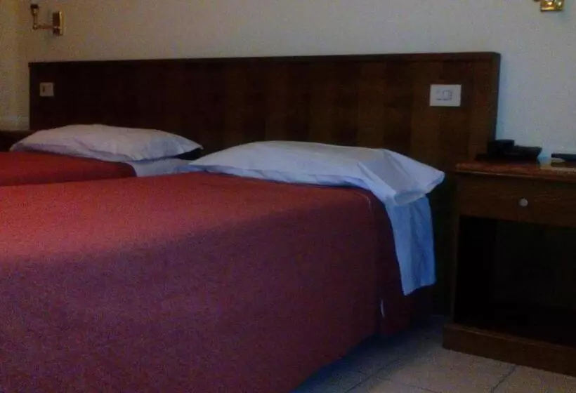 Fotos del hotel Minerva:  14