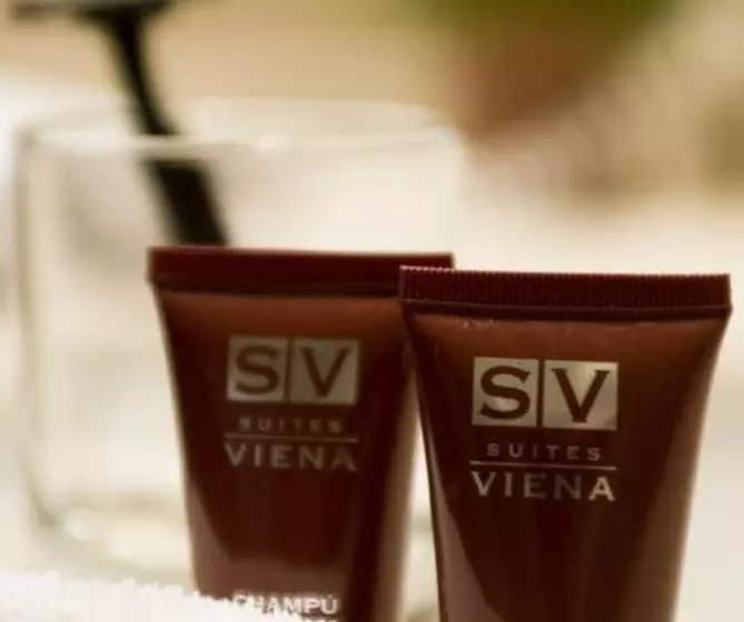 Fotos del hotel Suites Viena Plaza De España:  18