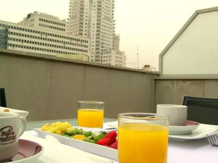 Fotos del hotel Suites Viena Plaza De España:  5