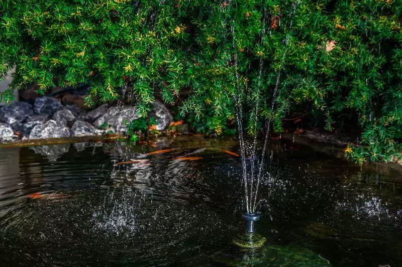 Fotos del hotel Alp De Veenen:  5