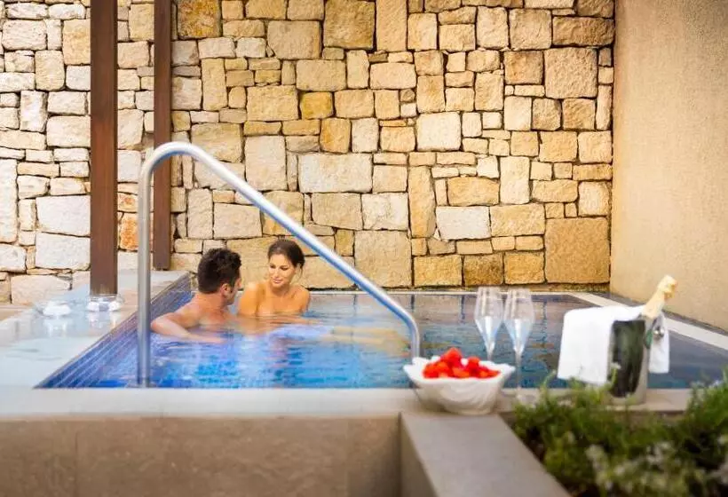 Fotos del hotel Island Hotel Istra:  5