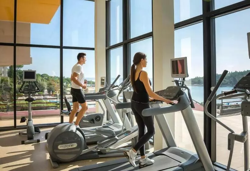 Fotos del hotel Island Hotel Istra:  4