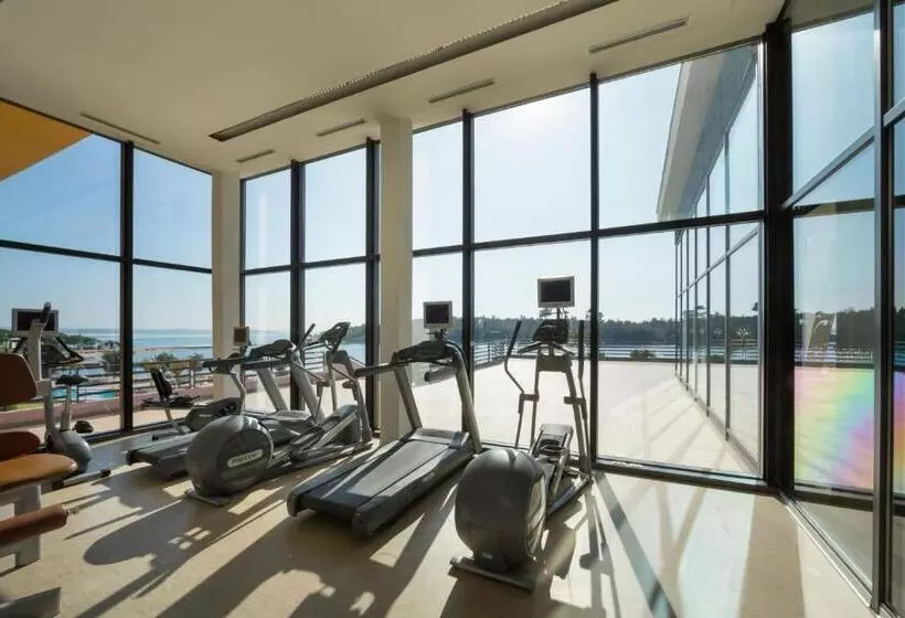 Fotos del hotel Island Hotel Istra:  19