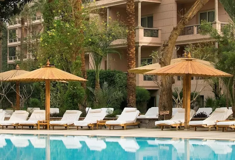 Fotos del hotel Pavillon Winter Luxor:  8