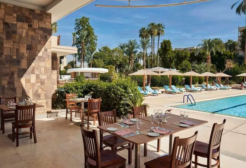 Fotos del hotel Pavillon Winter Luxor:  4