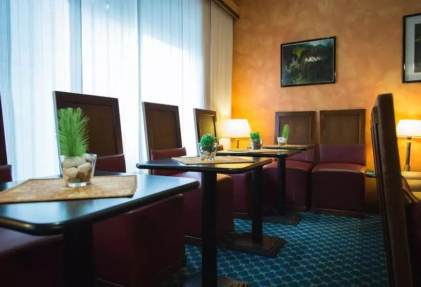 Fotos del hotel Accursio:  5