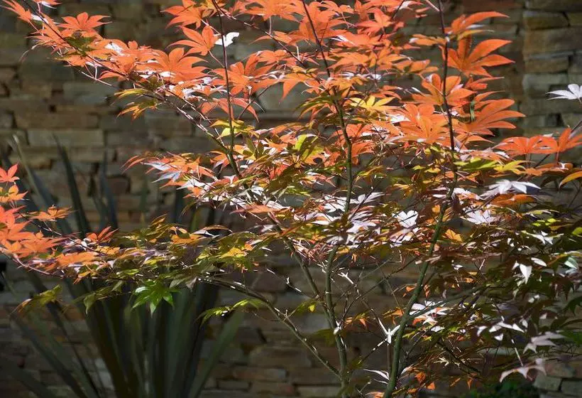 Fotos del hotel Cahuel Buenos Aires Hotel:  6