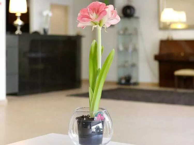 Fotos del hotel Cova Da Iria:  13