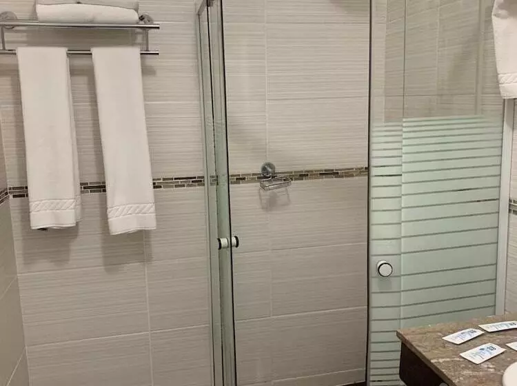 Fotos del hotel Punta Del Este Shelton:  23