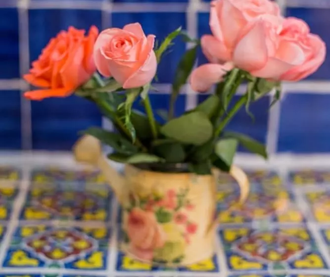 Fotos del hotel & Spa La Mansion Del B Azul:  8