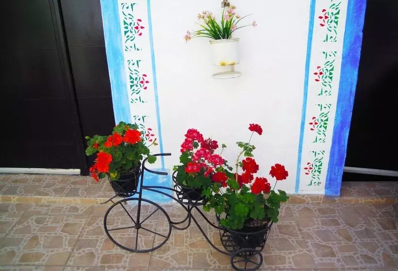 Fotos del hotel & Spa La Mansion Del B Azul:  23