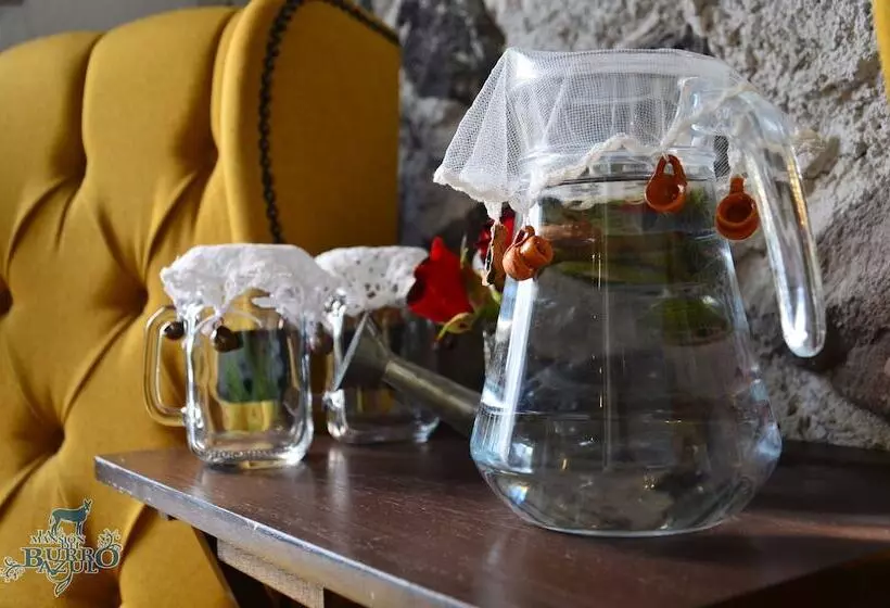 Fotos del hotel & Spa La Mansion Del B Azul:  24