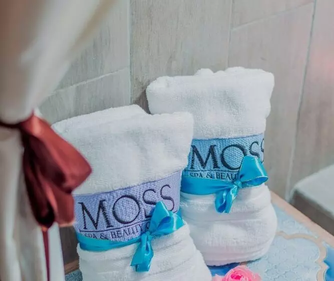 Fotos del hotel & Spa La Mansion Del B Azul:  22