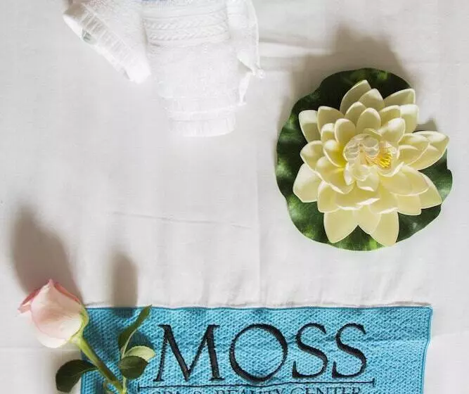 Fotos del hotel & Spa La Mansion Del B Azul:  18