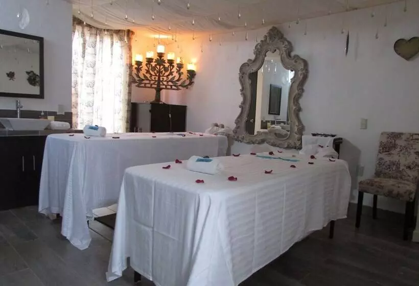 Fotos del hotel & Spa La Mansion Del B Azul:  15