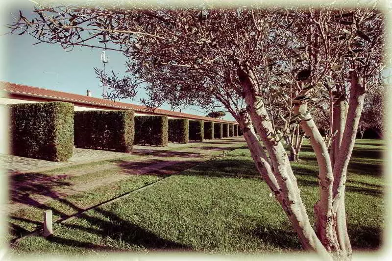 Fotos del hotel All Ways Garden  & Leisure:  7