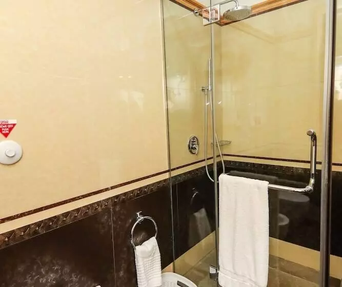 Fotos del hotel Brilant Antik:  16