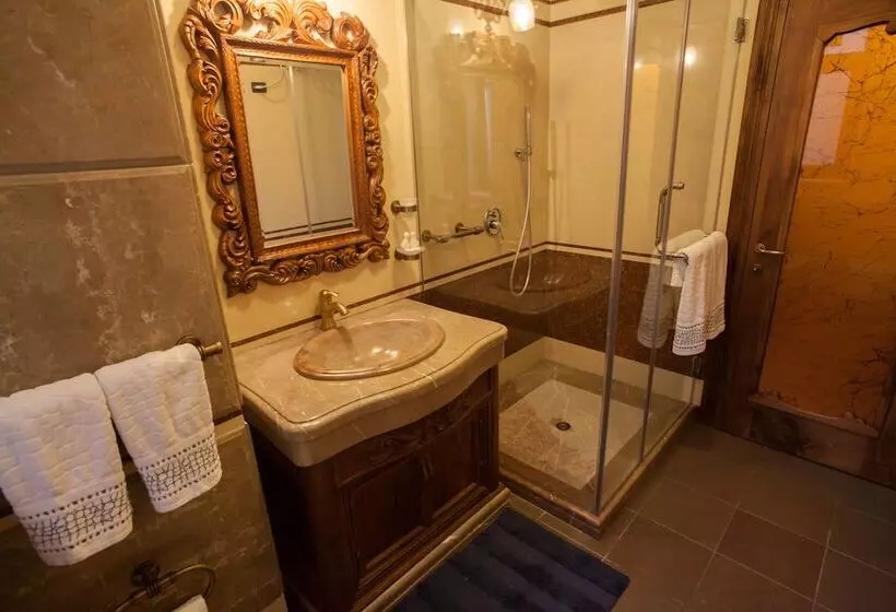 Fotos del hotel Brilant Antik:  5