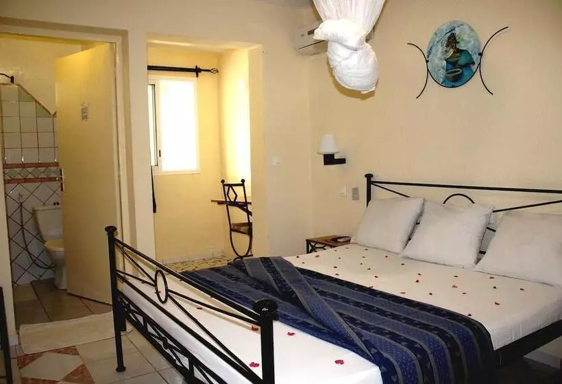 Fotos del hotel Flamboyants:  19