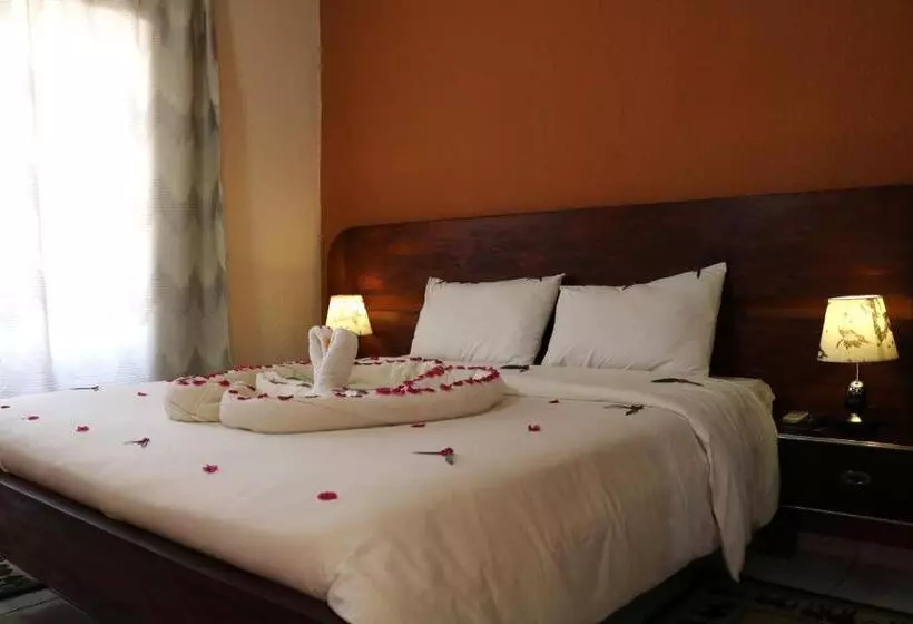 Fotos del hotel Flamboyants:  13