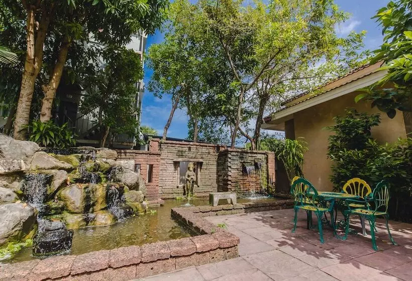 Fotos del hotel Karon Whale Resort:  11