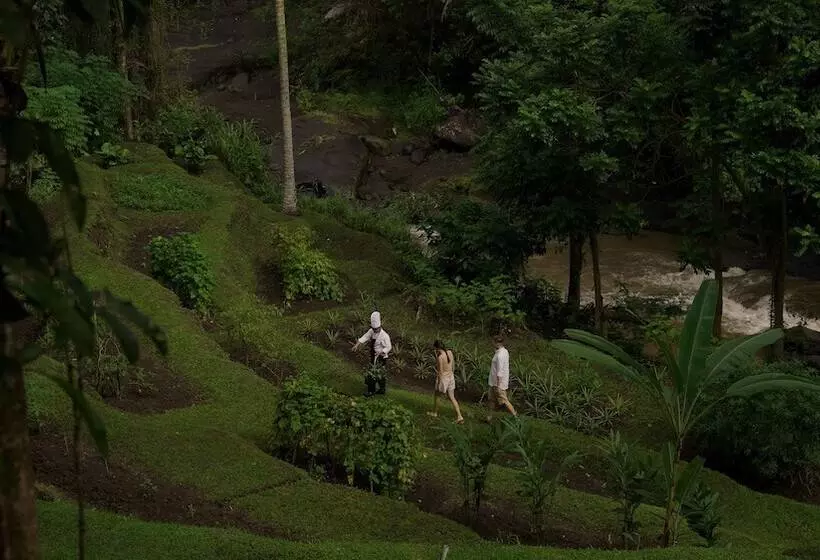 Fotos del hotel Kayumanis Ubud Private Villas & Spa:  13