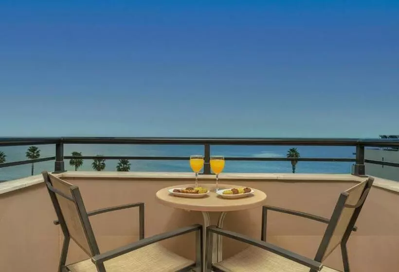 Fotos del hotel Palatino:  4