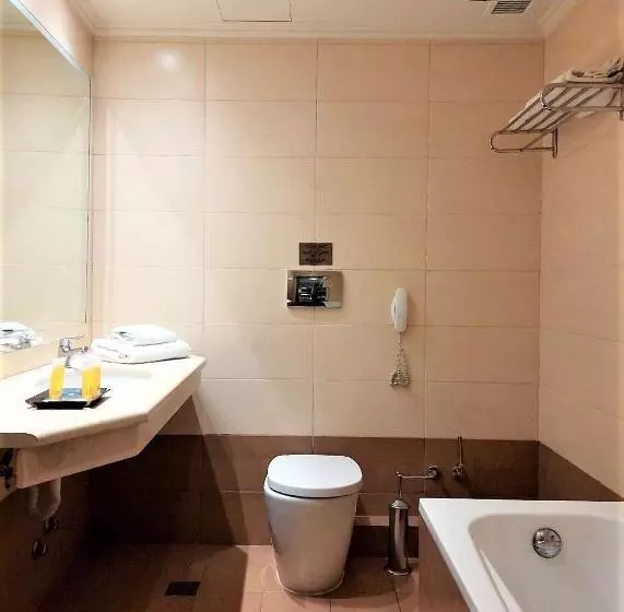 Fotos del hotel Palatino:  11