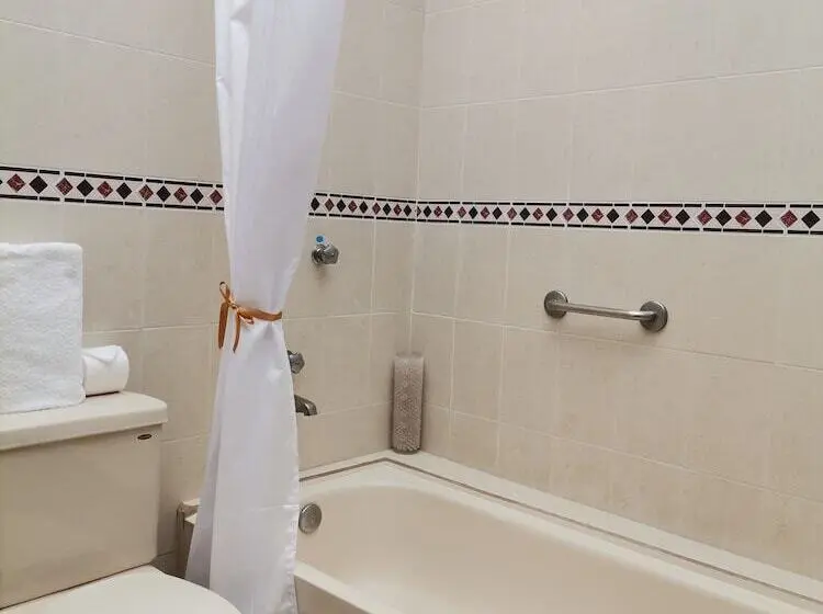 Fotos del hotel Misión Grand San Cristobal De Las Casas:  4