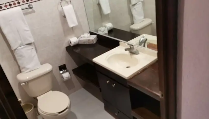 Fotos del hotel Misión Grand San Cristobal De Las Casas:  9