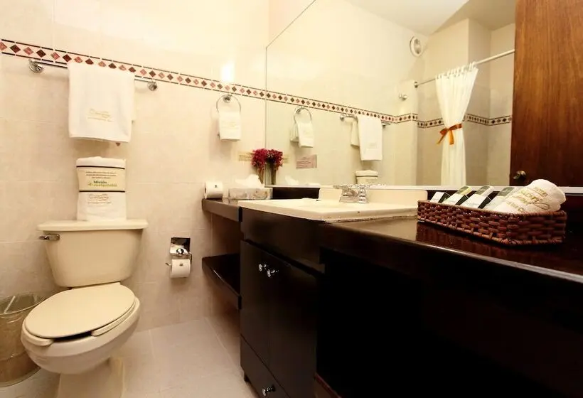 Fotos del hotel Misión Grand San Cristobal De Las Casas:  24