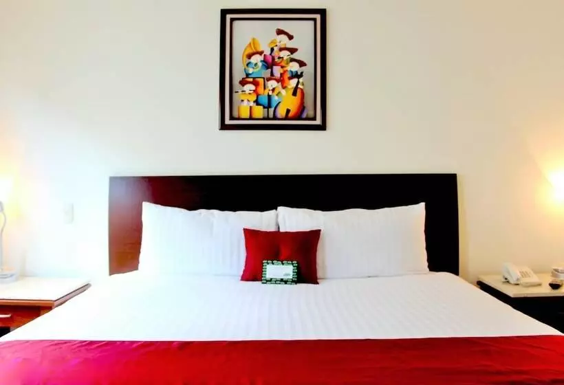 Fotos del hotel Residence L´heritage Aristóteles 140 By Bluebay:  3