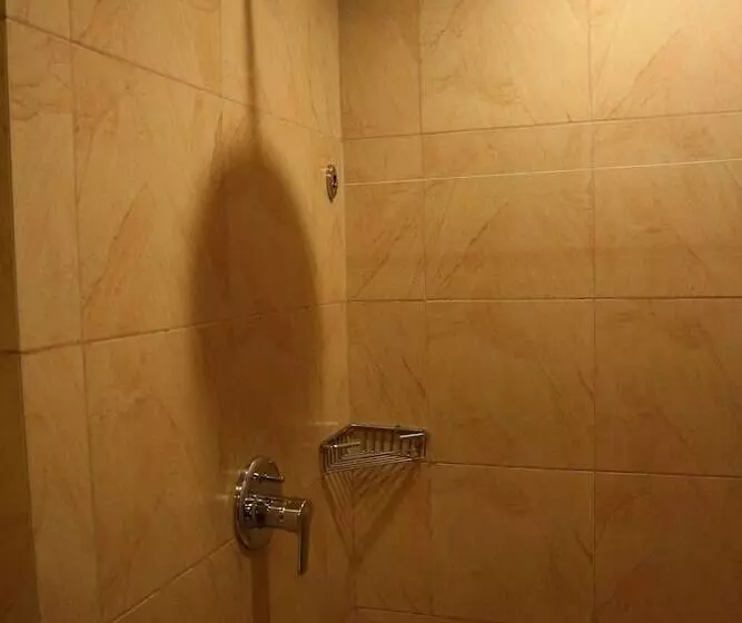 Fotos del hotel Boracay Tropics Resort:  18