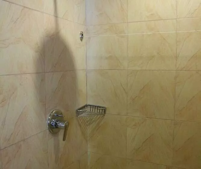 Fotos del hotel Boracay Tropics Resort:  24