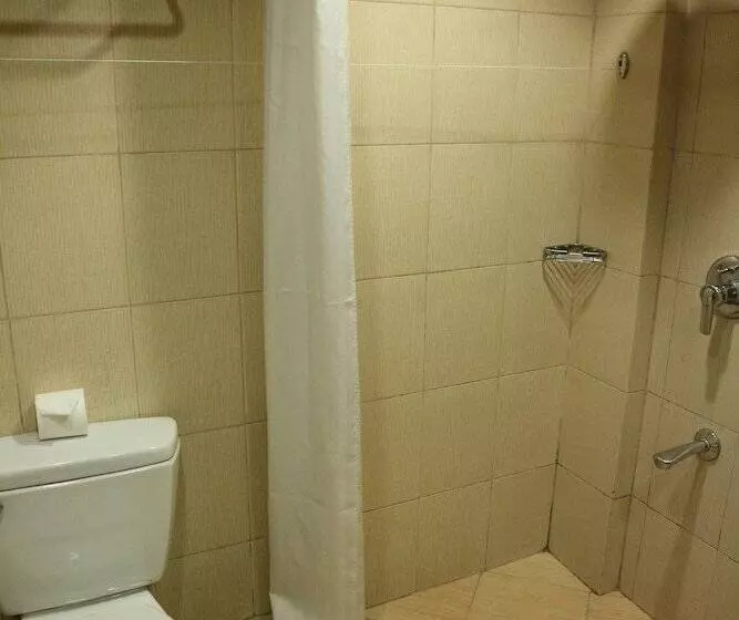 Fotos del hotel Boracay Tropics Resort:  9