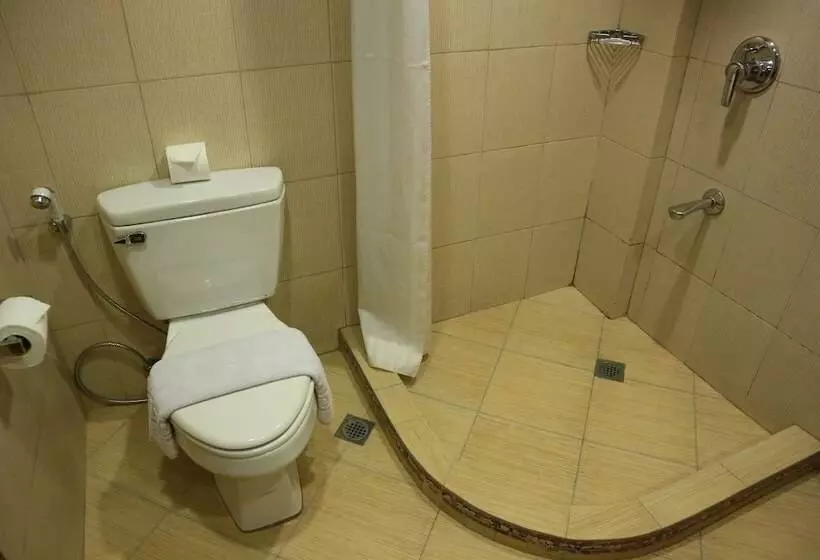 Fotos del hotel Boracay Tropics Resort:  21