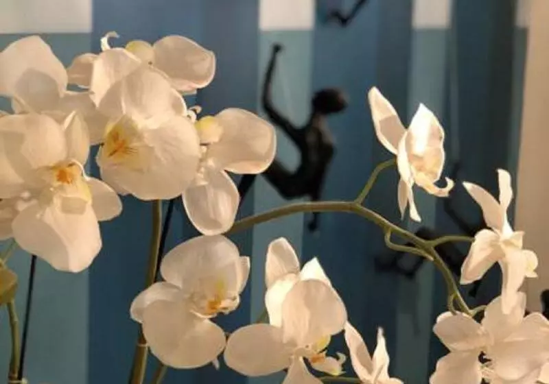 Fotos del hotel Opera Frochot:  8