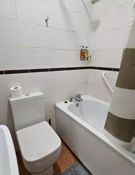 Fotos del hotel New Dome:  13