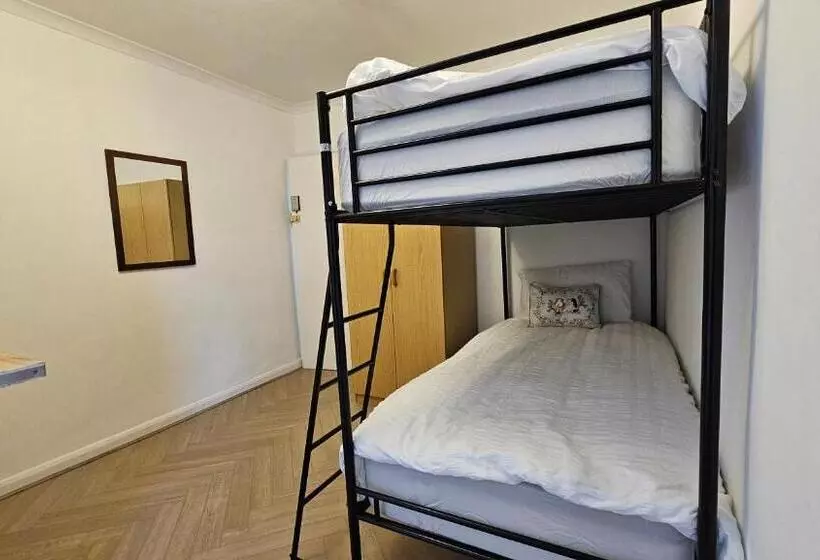 Fotos del hotel New Dome:  16