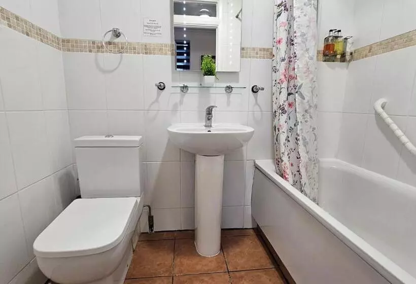 Fotos del hotel New Dome:  7