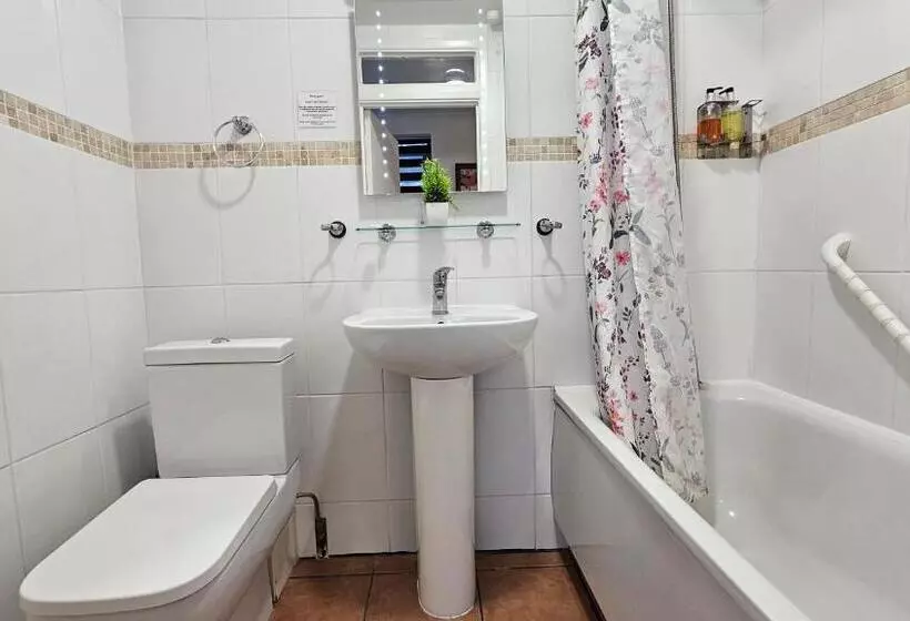 Fotos del hotel New Dome:  3