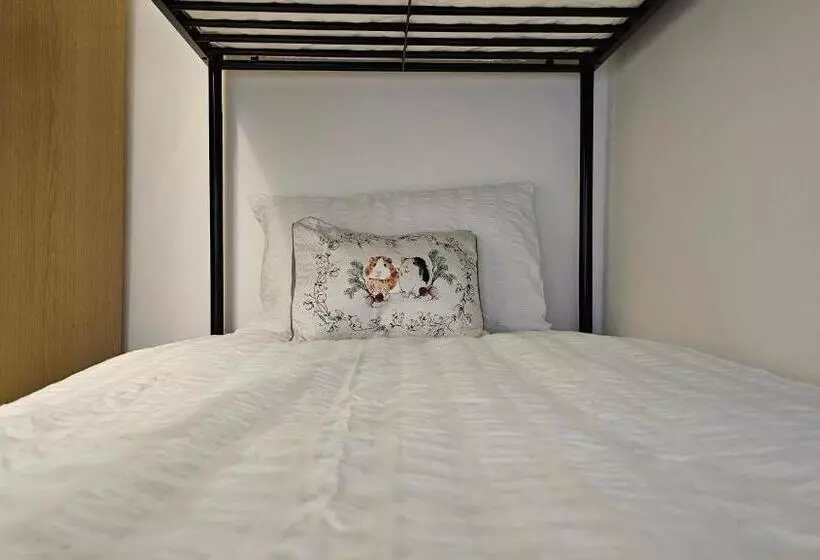 Fotos del hotel New Dome:  17