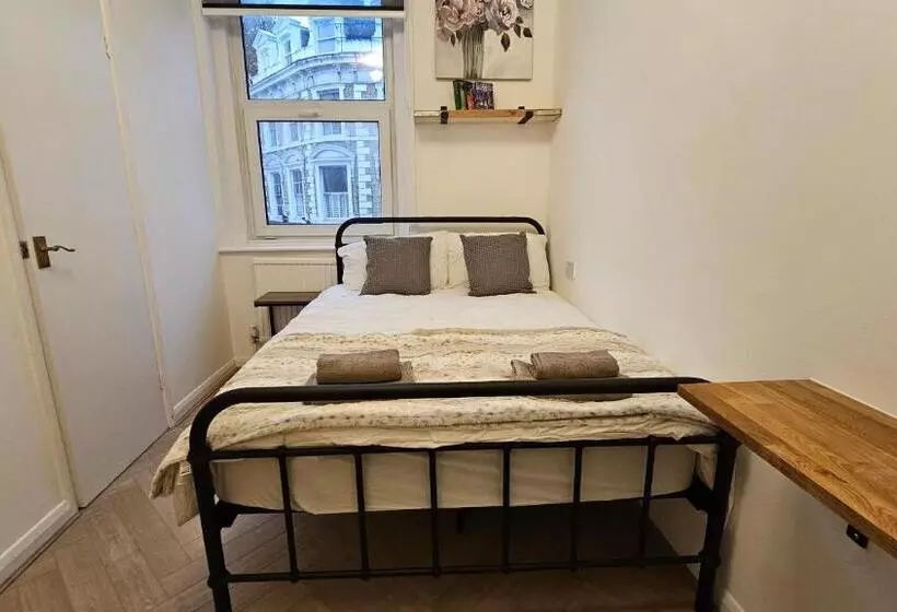 Fotos del hotel New Dome:  21