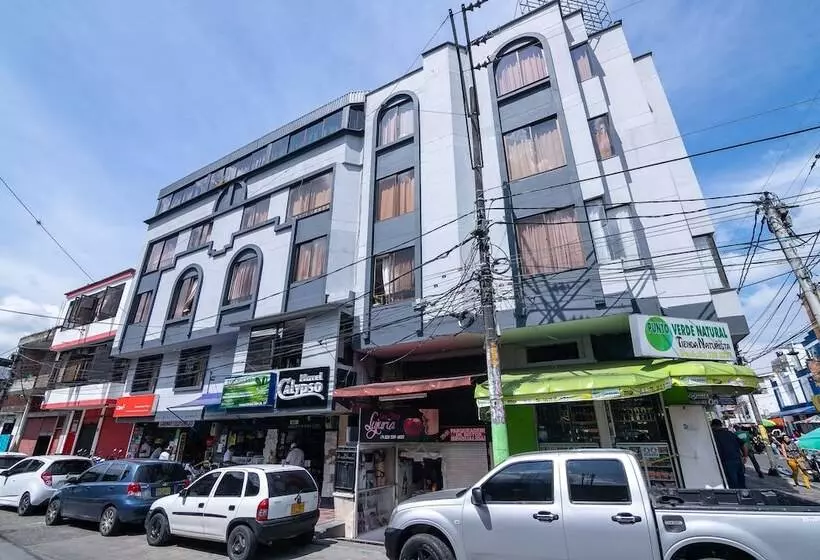 Fotos del hotel Ayenda Calypso 1142:  5
