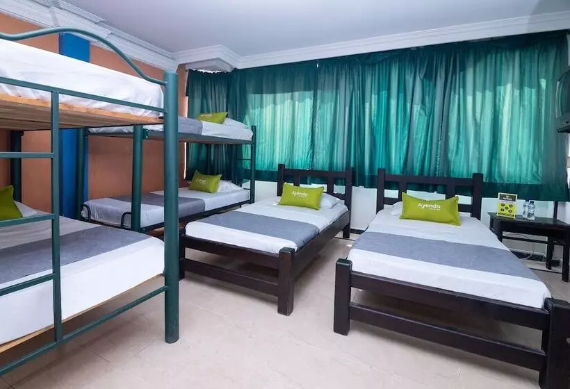 Fotos del hotel Ayenda Calypso 1142:  15