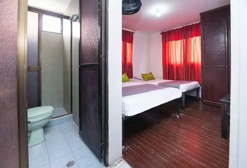 Fotos del hotel Ayenda Calypso 1142:  7